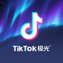 TK极光 Logo